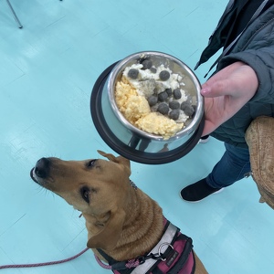 Team Page: Lucy’s Best Friends